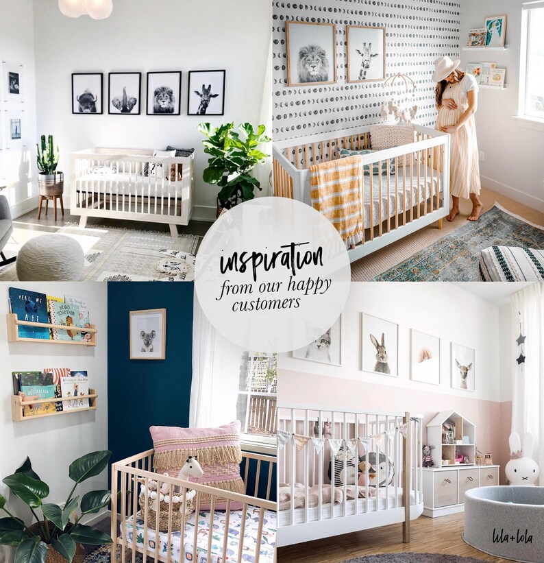 Safari Nursery Wall Art Baby Zebra Animal Print Baby Room Etsy