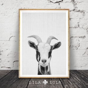 Goat Print, Nursery Farm Animal Wall Art, Black and White Printable Photo, Digital Download, Large Poster, Modern Minimalist, Grey Decor