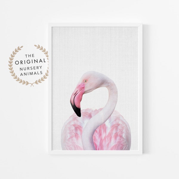 Flamingo Print - Nursery Wall Art ~ Imprimable rose et gris, plus de 20 tailles - Photographie de tête d’animal tropical - Affiche de chambre d’enfant