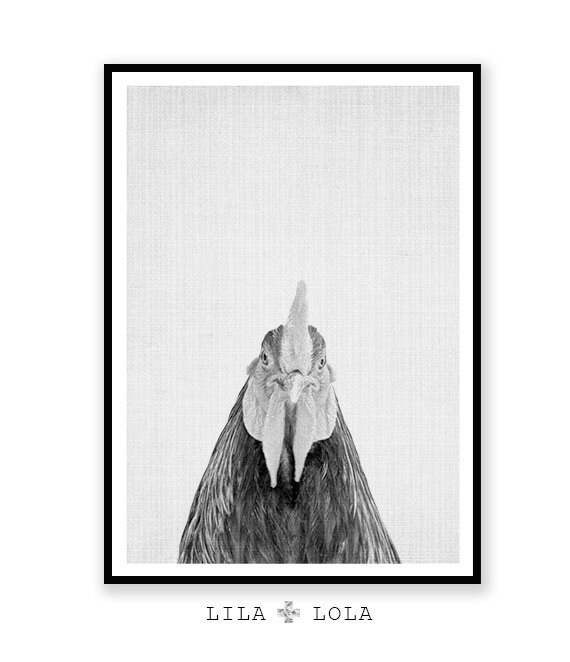 Chicken Print Kitchen Wall Art Rooster Farm Animal Black Etsy