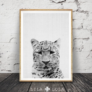 Cheetah Print, Safari Nursery Animal Wall Art, Black and White Photo, Printable Poster Digital Download, Kids Room Decor, African Minimalist