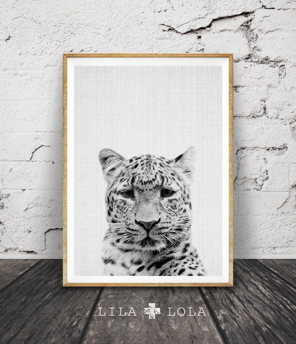 Cheetah Print Safari Nursery Animal Wall Art Black And White