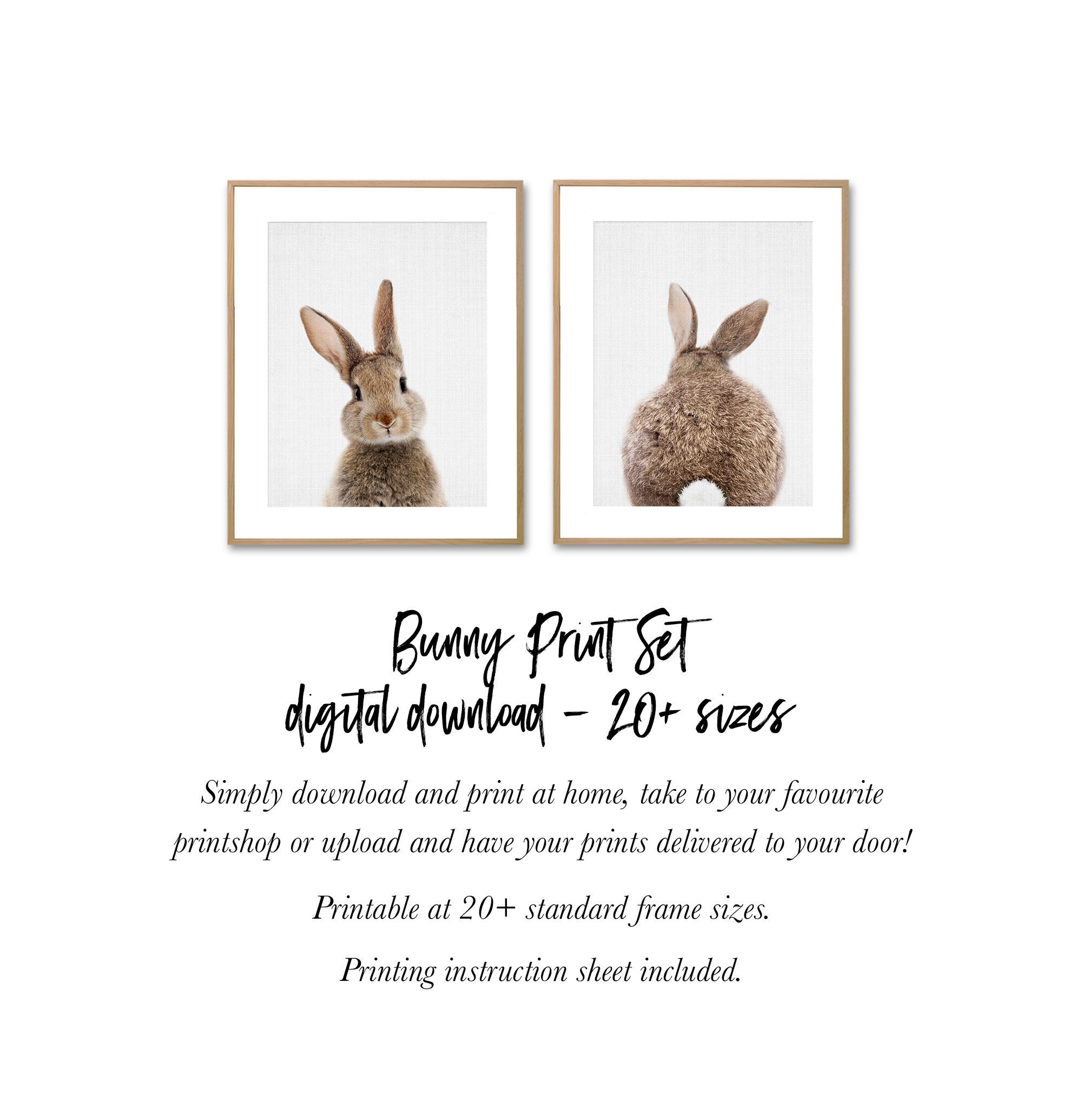 Bunny Rabbit Print Set Digital Download