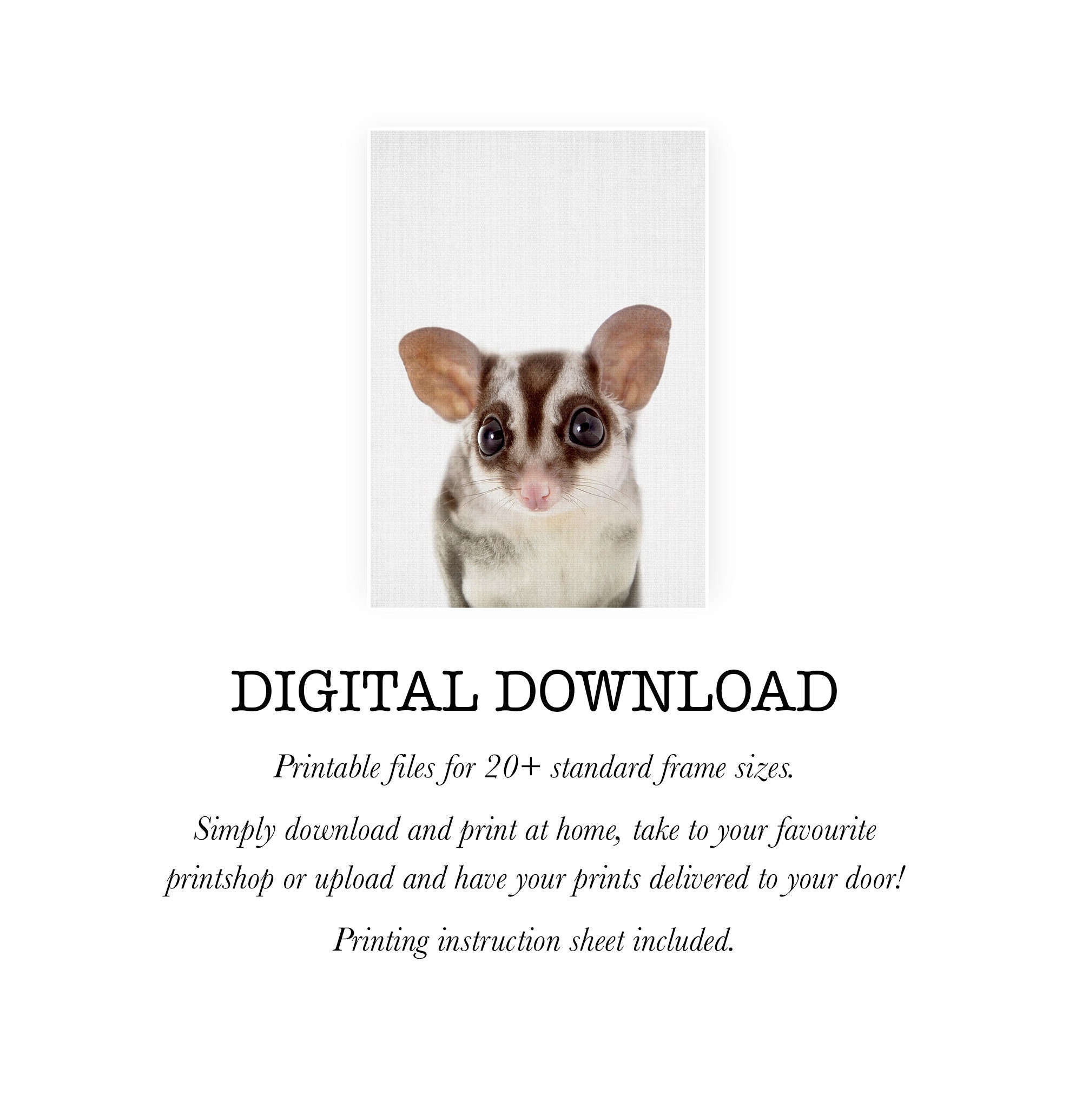 Baby Sugar Glider Print Australian Nursery Animal Decor - Etsy Baby Sugar Glider Print Australian Nursery Animal Decor - Etsy