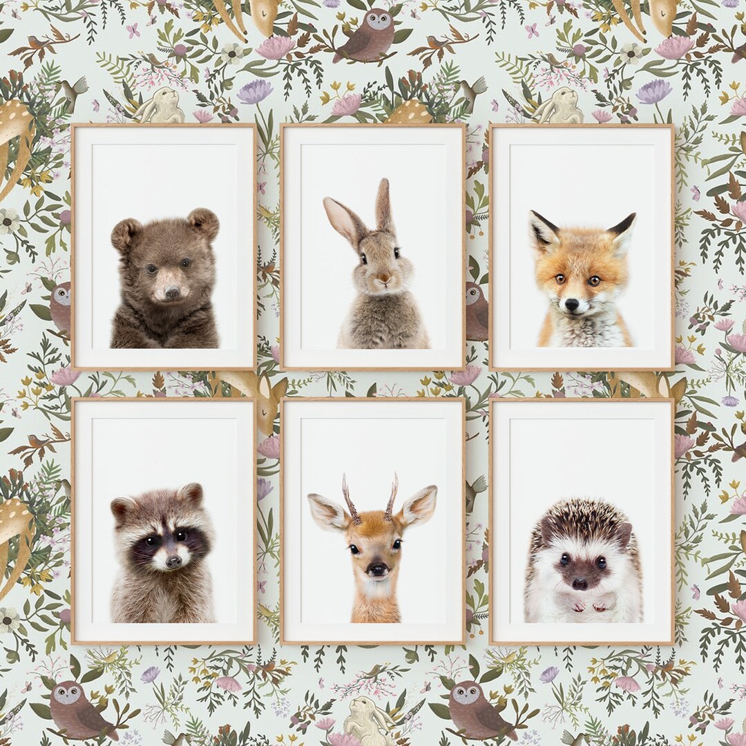 Woodland Nursery Animal Wall Art Prints ~ Set of 6 ~ Printable Digital ...