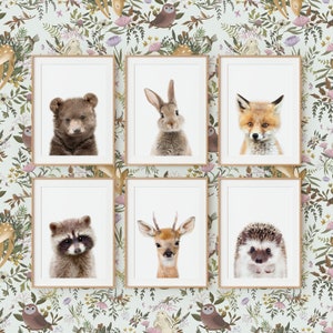 Woodland Nursery Animal Wall Art Prints ~ Set of 6 ~ Printable Digital Download ~ White Background