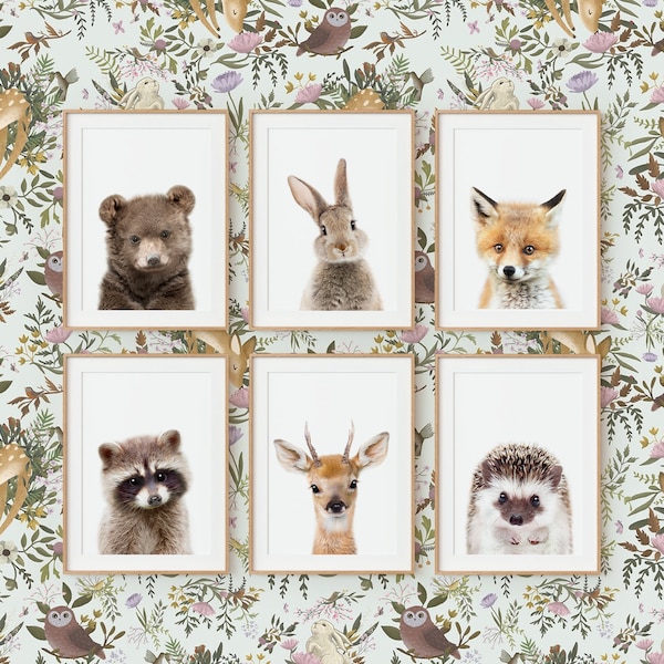 Woodland Nursery Animal Wall Art Prints ~ Set van 6 ~ Afdrukbare digitale download ~ Witte achtergrond