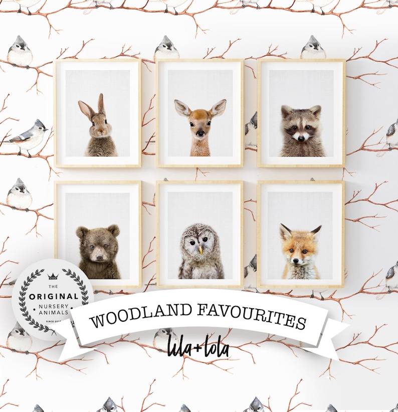 Woodland Nursery Wall Art Prints ~ Baby Forest Animal Decor ~ Printable Digital Download 