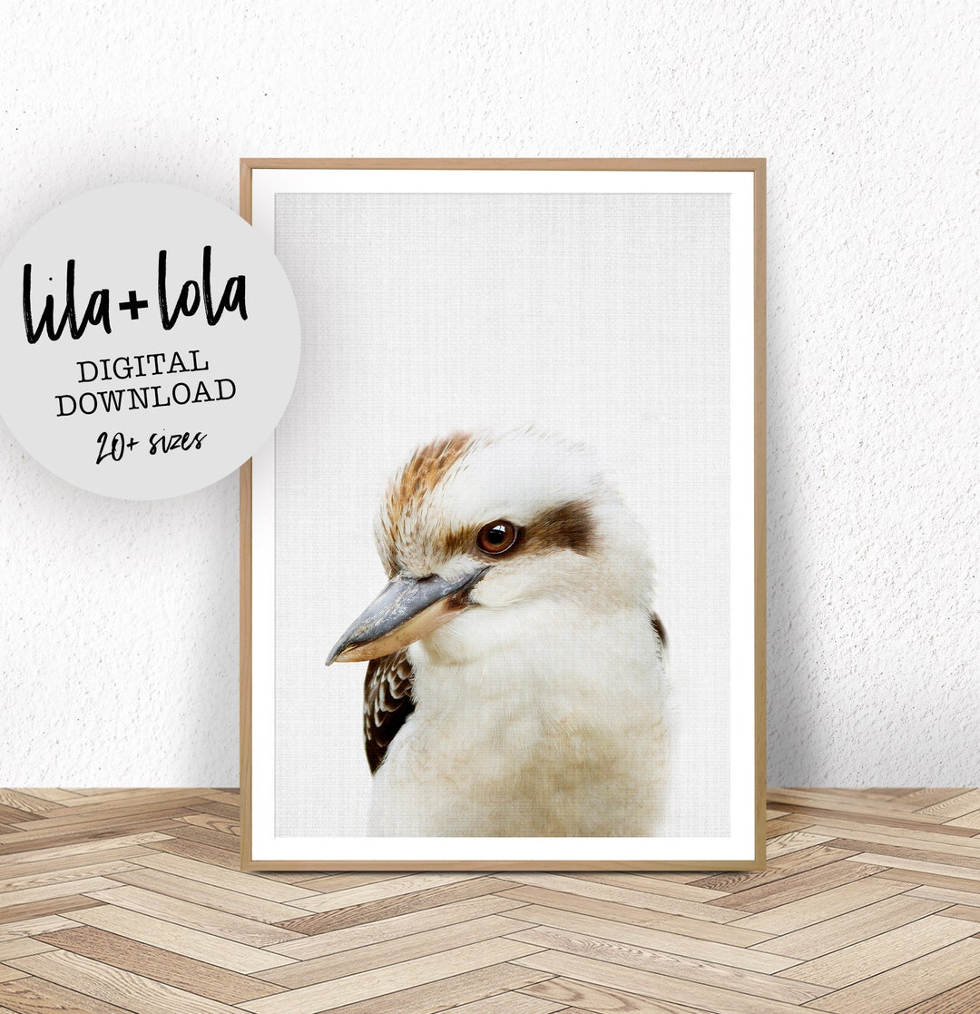 Buy Kookaburra Nursery Print: Australian Animal Wall Art (digital Download)  Online in India