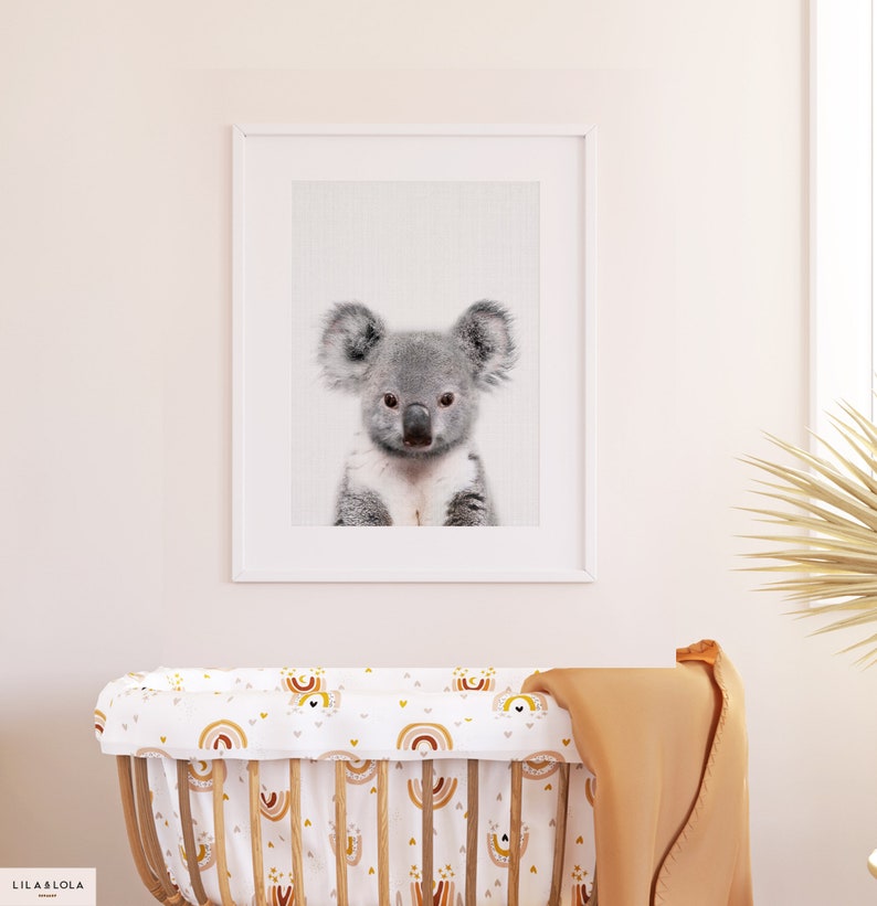 May include: A framed print of a koala bear with a white background. The koala is looking directly at the camera. The frame is white and has a thin black border. The print is hanging on a white wall.