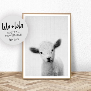 Lamb Print, Nursery Farm AnimalWall Art, Digital Download, Farm Decor, Printable Farmhouse Baby Sheep, Large Poster, Black and White