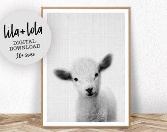 Lamb Print, Nursery Farm AnimalWall Art, Digital Download, Farm Decor, Printable Farmhouse Baby Sheep, Large Poster, Black and White