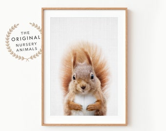 Squirrel Wall Art Print ~ Woodland Animal Nursery Decor ~ Printed and Shipped
