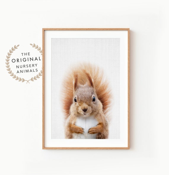 Squirrel Wall Art Print ~ Woodland Animal Nursery Decor ~ Printed and Shipped