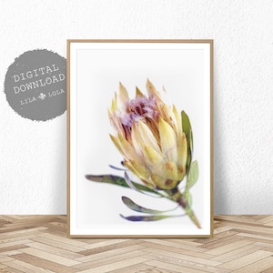 Protea Print, Australian Native Flower Wall Art, Watercolour, Printable Poster, Digital Download, Photography, Yellow Flower Decor