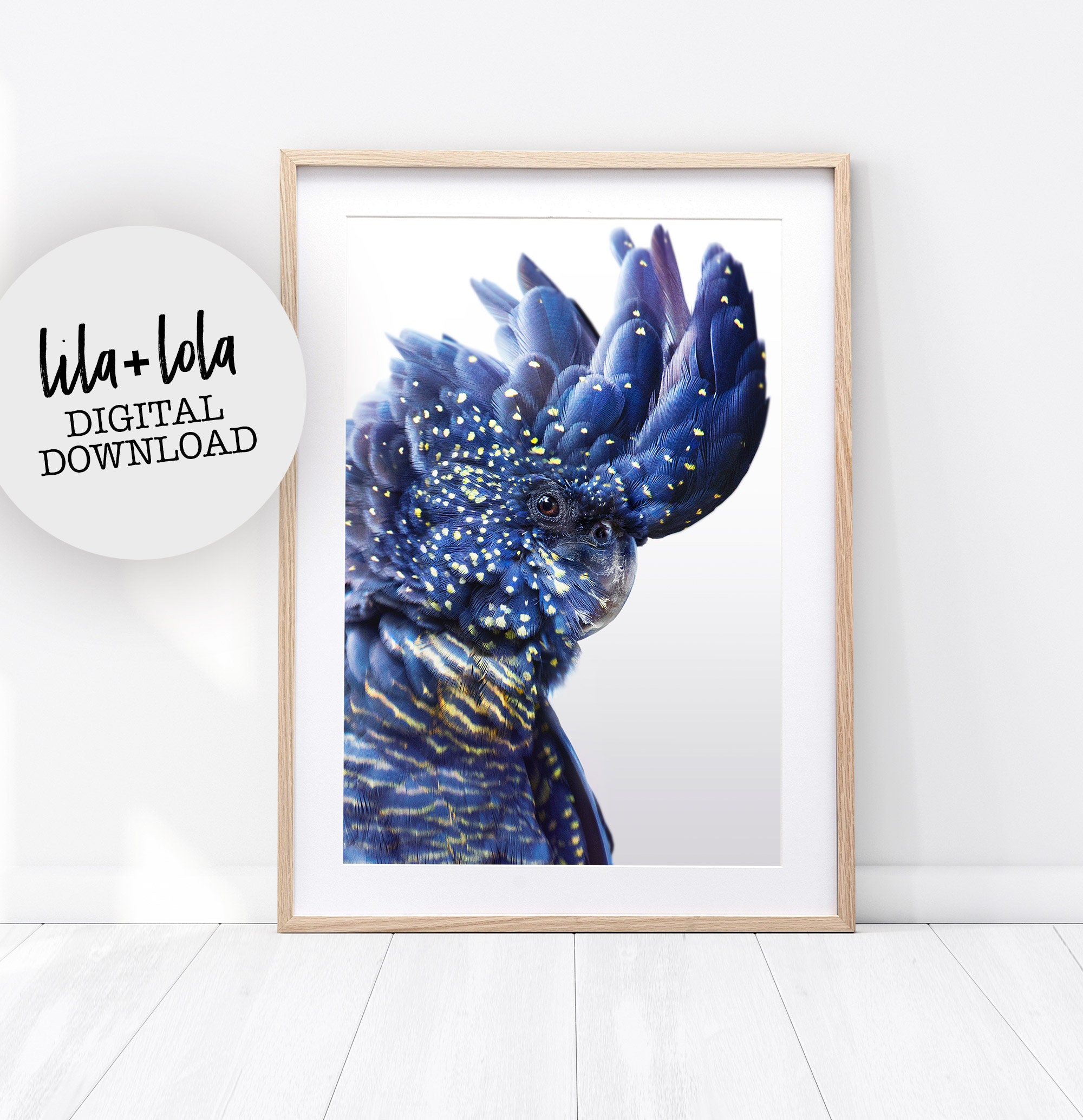 Digital Download Australian Bird Print Parrot Navy Blue Photography