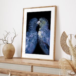 Black Cockatoo Print - Printable Wall Art - Australian Bird Photography, Black and Navy Blue, Modern Poster