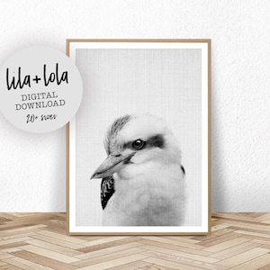 Kookaburra Print, Australian Nursery Animal Decor, Printable Wall Art, Black and White, Baby Animal Prints For Nursery, Instant Downloadable