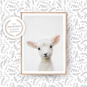 Lámina de arte de pared de cordero para guardería ~ Animal de granja para bebés ~ Descarga digital imprimible ~ Decoración de estilo campestre
