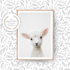 Lamb Wall Art Print for Nursery ~ Baby Farm Animal ~  Printable Digital Download ~ Farmhouse Country Decor