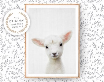 Lamb Wall Art Print dla przedszkola ~ Baby Farm Animal ~ Printable Digital Download ~ Farmhouse Country Decor