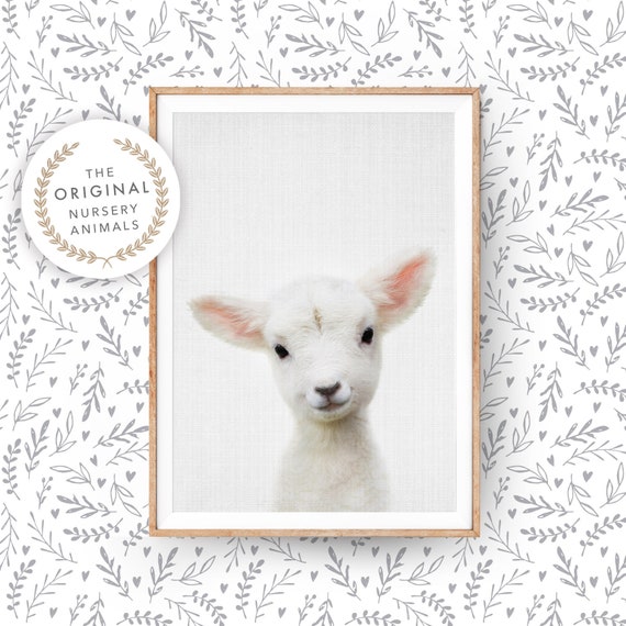 Lamb Wall Art Print for Nursery ~ Baby Farm Animal ~  Printable Digital Download ~ Farmhouse Country Decor