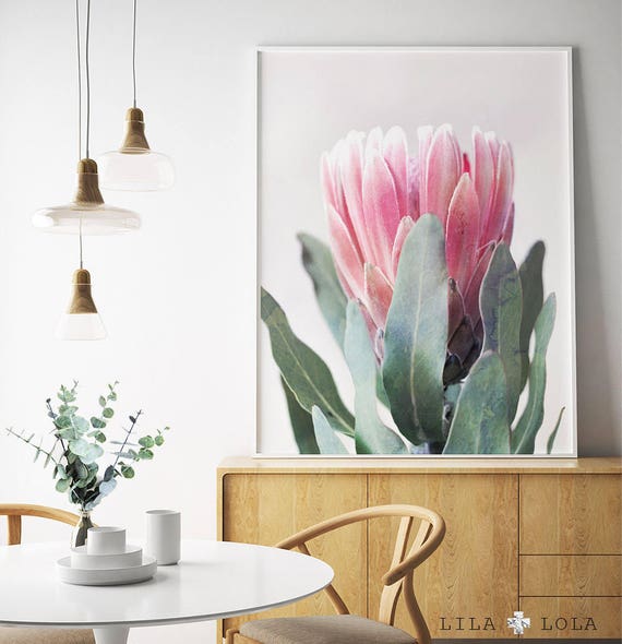Protea Print Flower Wall Art Australian Native Photography | Etsy