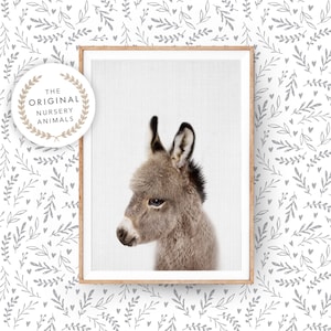 Impresión de arte de pared de burro bebé ~ Póster de animales de granja para habitación de bebé ~ Descarga digital imprimible ~ Imagen fotográfica de decoración de granja para niños