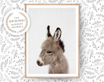 Baby Donkey Wall Art Print ~ Farm Animal Poster for Nursery Room ~ Printable Digital Download ~ Kids Farmhouse Decor Photo Picture