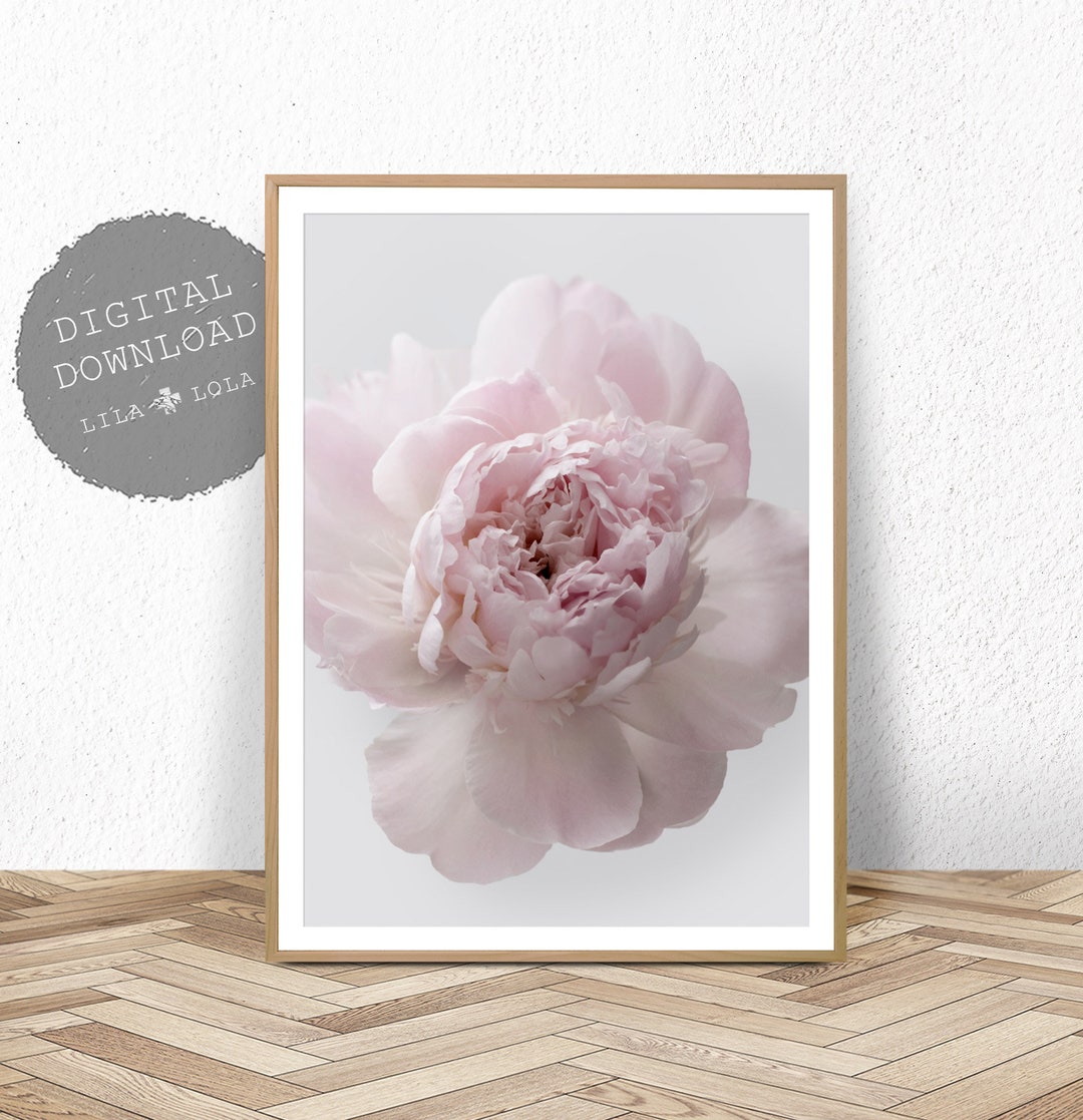 Peony Rose Print, Peonie Wall Art, Printable Photography, Pink and Grey ...