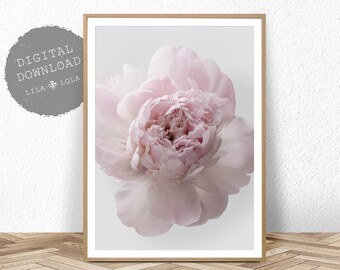 Pink Peony Rose Print: Floral Photography, Bedroom Decor (Digital Download)