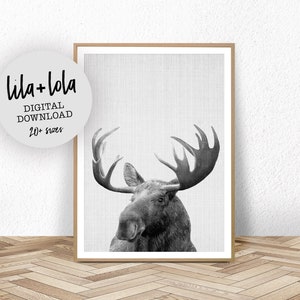 Moose Print, Boys Room Decor, Printable Wall Art, Large Black and White Poster, Animal Head Photo, Forest Animal, Woodland Nursery