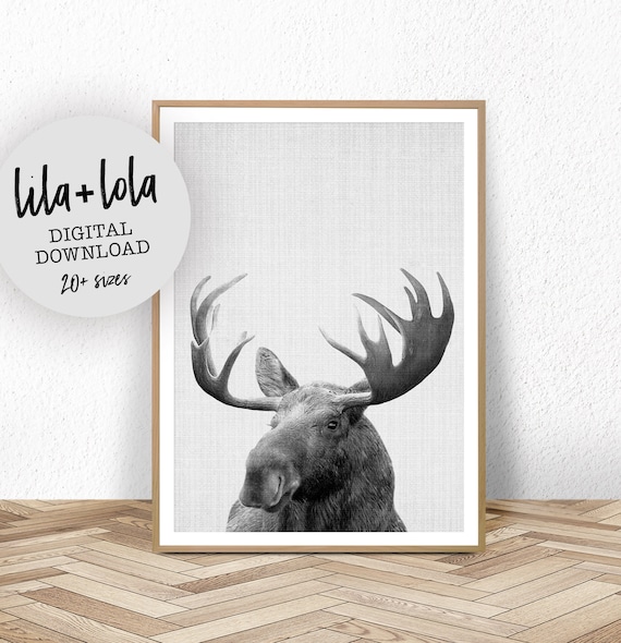 Moose Print - Digital Download