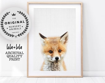 Baby Fox Print, Nursery Animal Wall Art, Woodland Decor, Large Poster, Kids Bedroom Poster, Boys Room Art, Giclee Printed and Shipped Photo