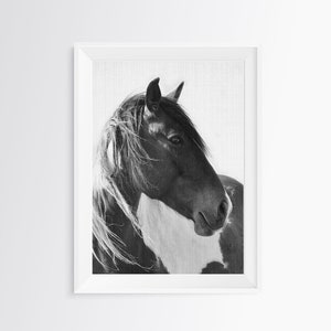 Horse Print, Photography Black and White Wall Art, Digital Download, Printable Horse Art, Black and White Horse Photo, Large Wall Art Print image 5