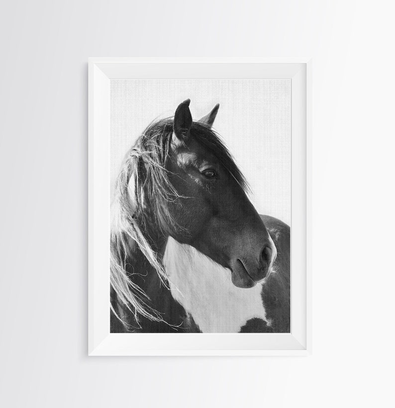 Horse Print, Photography Black and White Wall Art, Digital Download, Printable Horse Art, Black and White Horse Photo, Large Wall Art Print image 5