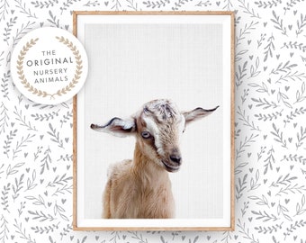 Baby Goat Wall Art Print ~ Printable Farm Animal for Nursery ~ Instant Digital Download ~ Kids Farmhouse Poster ~ Bedroom or Bathroom Decor