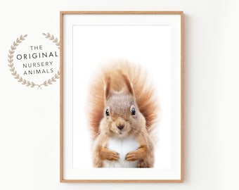 Squirrel Wall Art Print ~ Nursery Woodland Decor ~ Printable Digital Download ~ White Background
