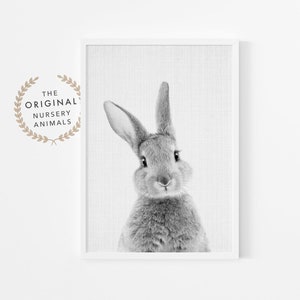 Bunny Wall Art Print ~ Nursery Decor ~ Black and White, Grey Rabbit