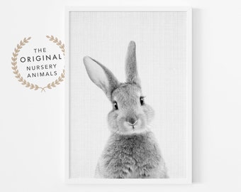 Bunny Wall Art Print ~ Nursery Decor ~ Black and White, Grey Rabbit