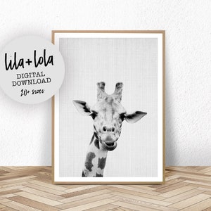 Giraffe Print, Safari Nursery Wall Art Decor, Large Printable Kids Room Poster, Digital Download, Giraffe Photo, Baby Shower image 1
