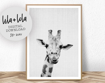 Giraffe Print, Safari Nursery Wall Art Decor, Large Printable Kids Room Poster, Digital Download, Giraffe Photo, Baby Shower