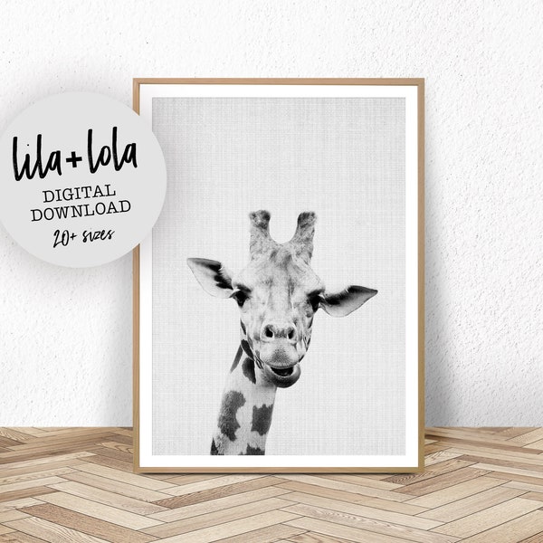 Giraffe Photo Print: Safari Nursery Wall Art (Digital Download)