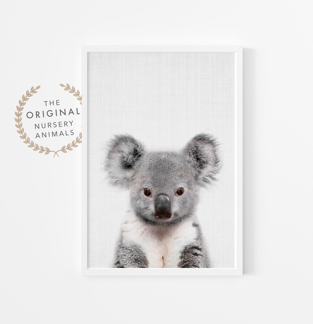 Baby Koala Print Australian Animal Printable Nursery Wall Art Digital ...