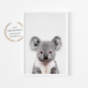 Baby Koala Print ~ Australisch Dier ~ Afdrukbare Kwekerij Wall Art ~ Digitale Download ~ Grote Poster