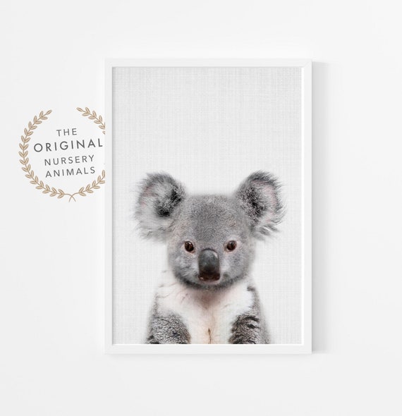 Baby Koala Print ~ Australian Animal ~ Printable Nursery Wall Art ~ Digital Download ~ Large Poster