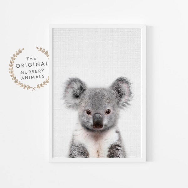 Koala Print - Etsy Australia