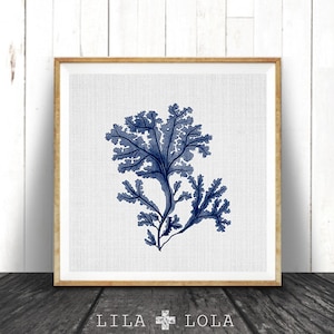 Seaweed Illustration, Indigo Blue Square Coral Print, Coastal Decor, Beach Nautical, Printable Digital Download, Sea Pulp, Ocean Plant Life