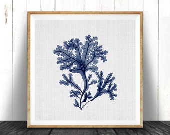 Seaweed Illustration, Indigo Blue Square Coral Print, Coastal Decor, Beach Nautical, Printable Digital Download, Sea Pulp, Ocean Plant Life