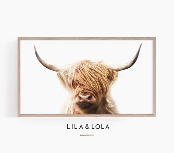 Samsung Frame TV Art ~ Highland Cow Photography ~ Instant Digital Downloadable